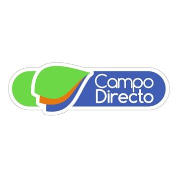 CAMPO DIRECTO