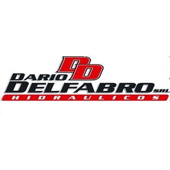 DARIO DELFABRO S.R.L.