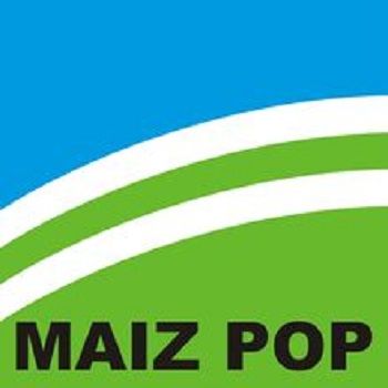 MAZ POP