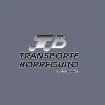TRANSPORTE BORREGUITO