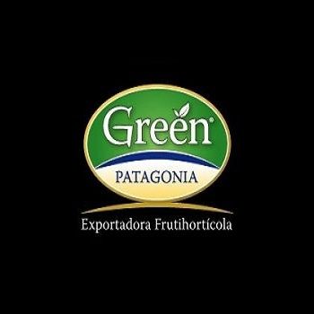 GREEN PATAGONIA