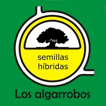 LOS ALGARROBOS SEMILLAS HBRIDAS