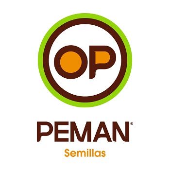 OSCAR PEMN Y ASOCIADOS SA