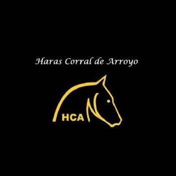 HARAS CORRAL DE ARROYO