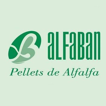 ALFABAN SRL