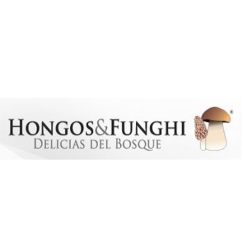 HONGOS & FUNGHI