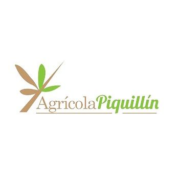 AGRICOLA PIQUILLIN S.R.L.