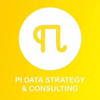 PI DATA STRATEGY & CONSULTING