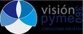 VISION PYME 360