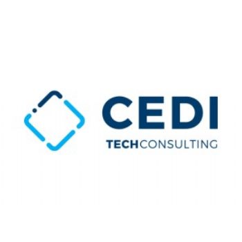 CEDITECH CONSULTING