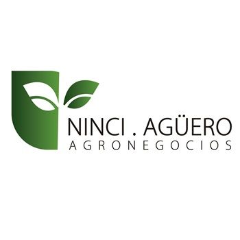 NINCI-AGUERO SA