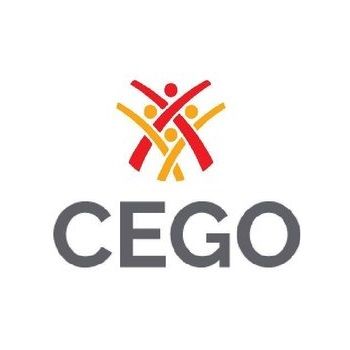 CEGO CONSULTORA