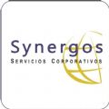 SYNERGOS SS.CC.